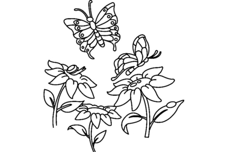 Coloriage Fleurs et papillons 07 – 10doigts.fr